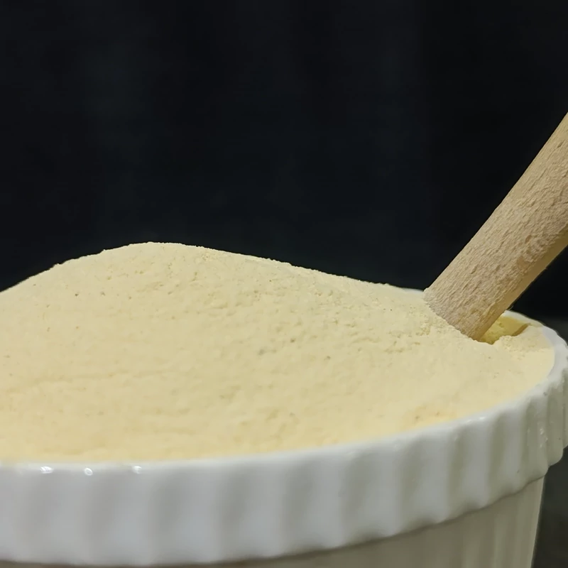 پودر پنیر پارمسان درجه یک 100 گرمی ترنج
